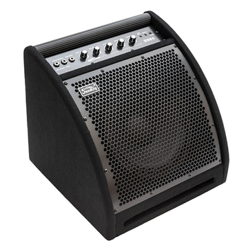 Монитор для электронной ударной установки, 50Вт, Soundking DS50
