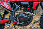 T4 New Red