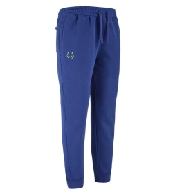 Мужские теннисные штаны Babolat Sweat J. Lebron - blue depths
