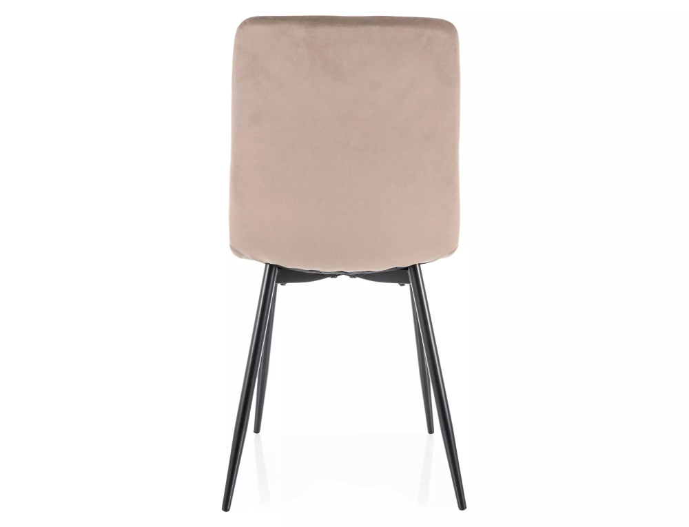 Стул SIGNAL DAREN Velvet Bluvel 40 темно-бежевый/черный