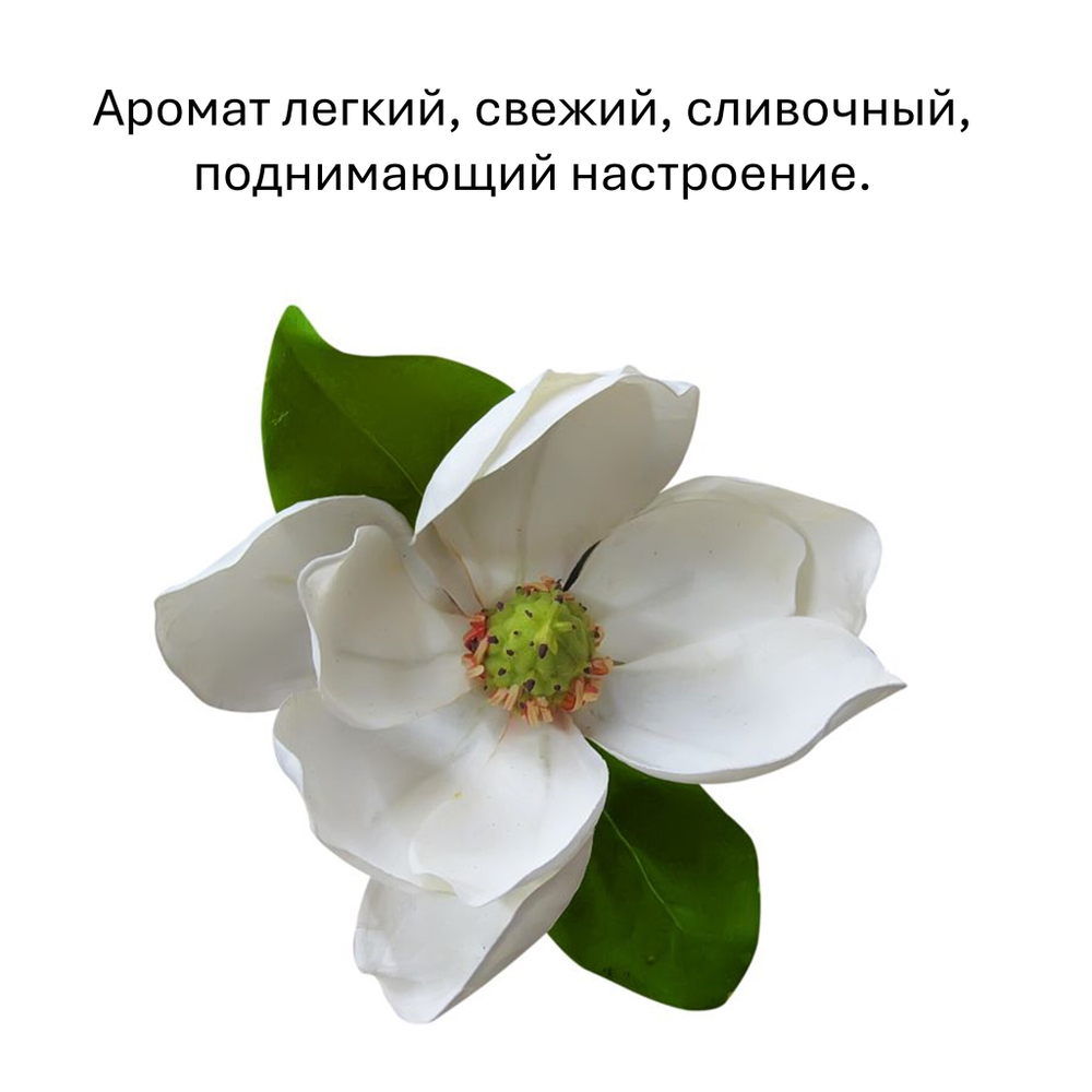 Магнолия, кубики восковые для ароматизации, 10 штук