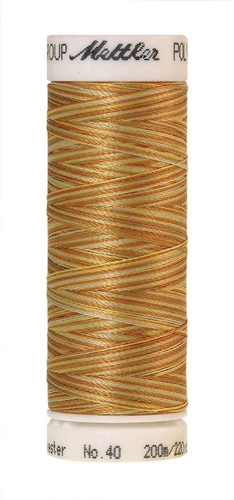 Нить вышивальная Mettler Poly Sheen Multi 40 (200 м), 5 кат. | цв. 9933 Нить вышивальная Mettler Poly Sheen Multi 40 (200 м), 5 кат. | цв. 9933