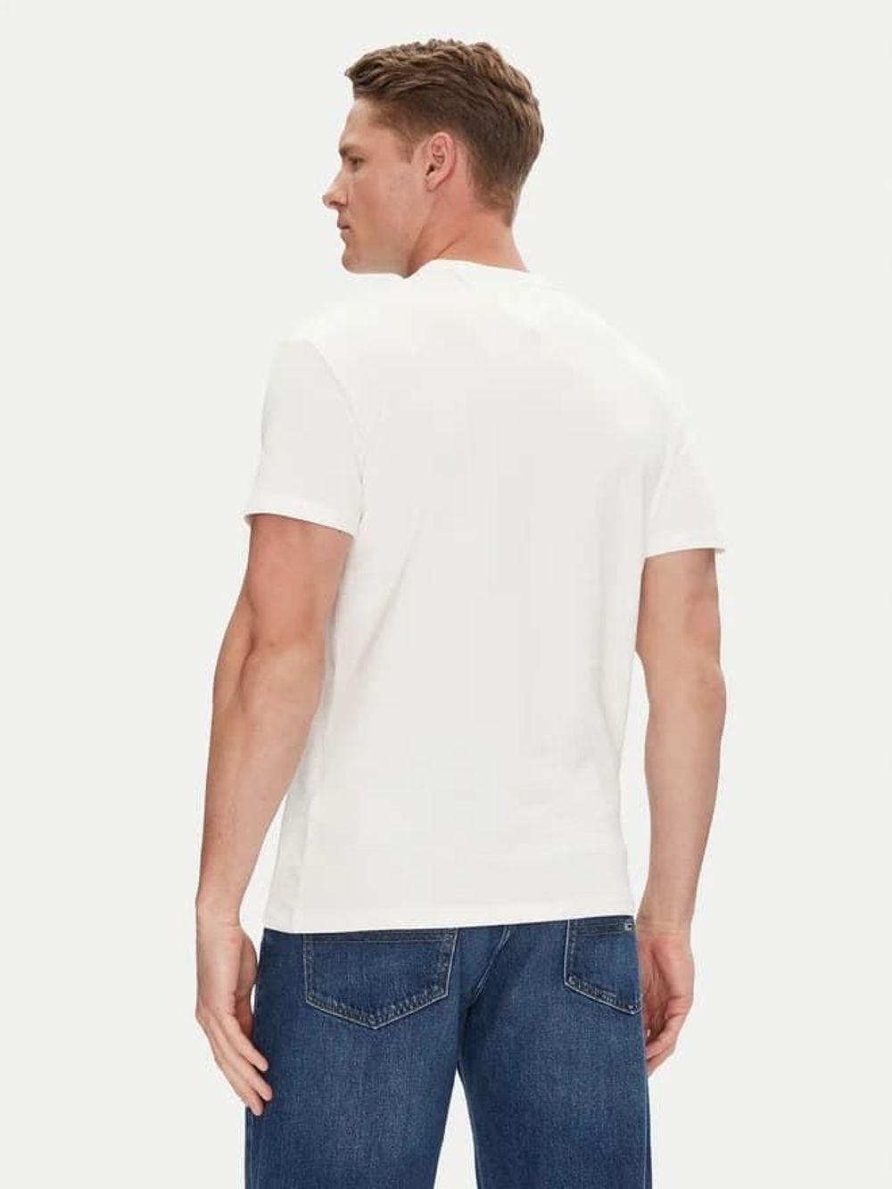 Футболка мужская TOMMY JEANS TJM REG BADGE TEE EX