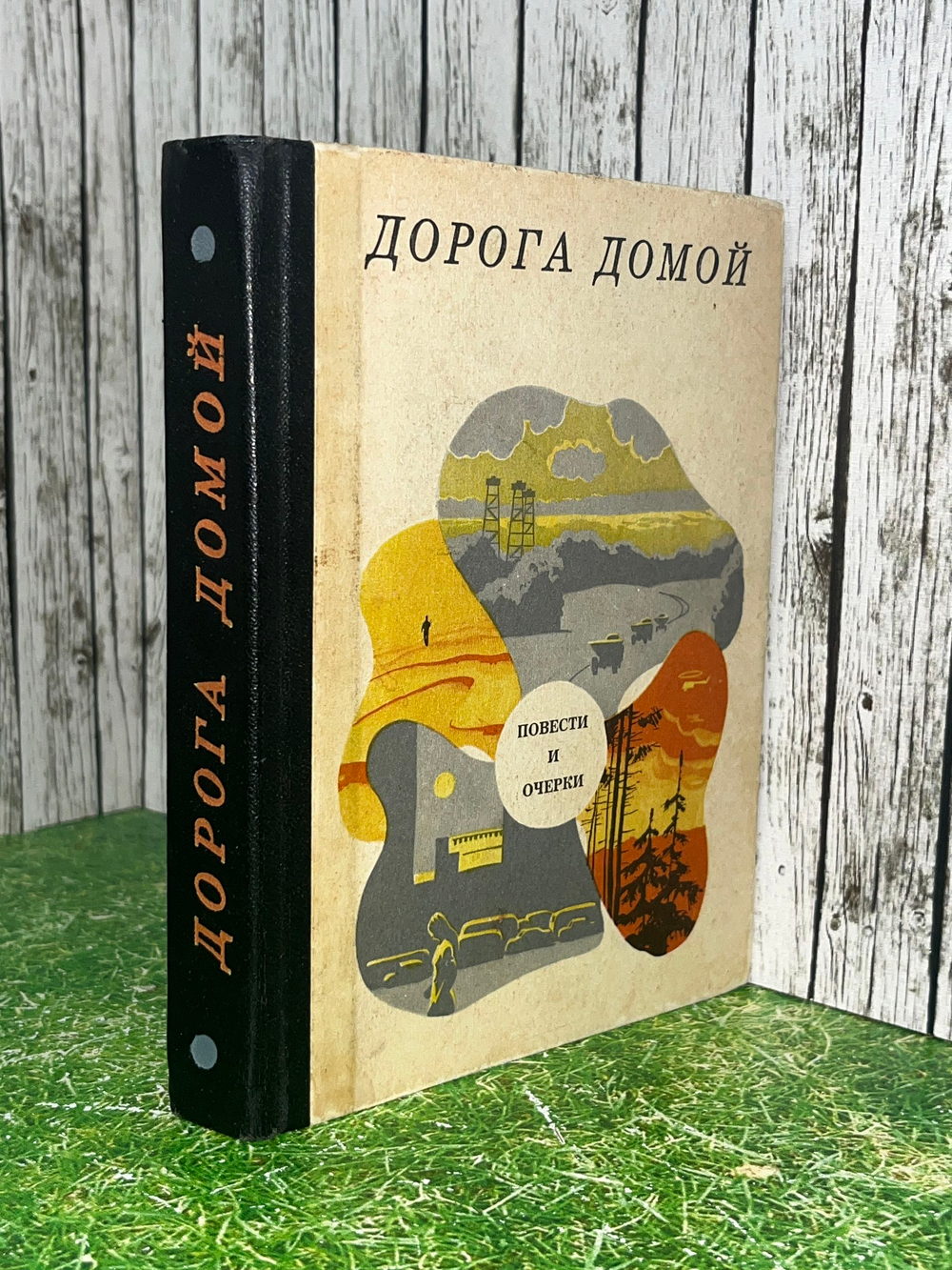 Книга "Дорога домой"