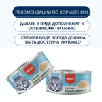 Wanpy Cat Консервы для кошек "Курица с гребешком" 24 шт по 95 г