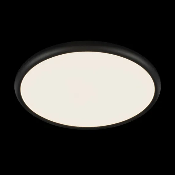Потолочный светильник Sweety 10454/500 Black Loft It