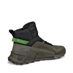 Ботинки мужские ECCO BIOM 2.1 X MOUNTAIN M