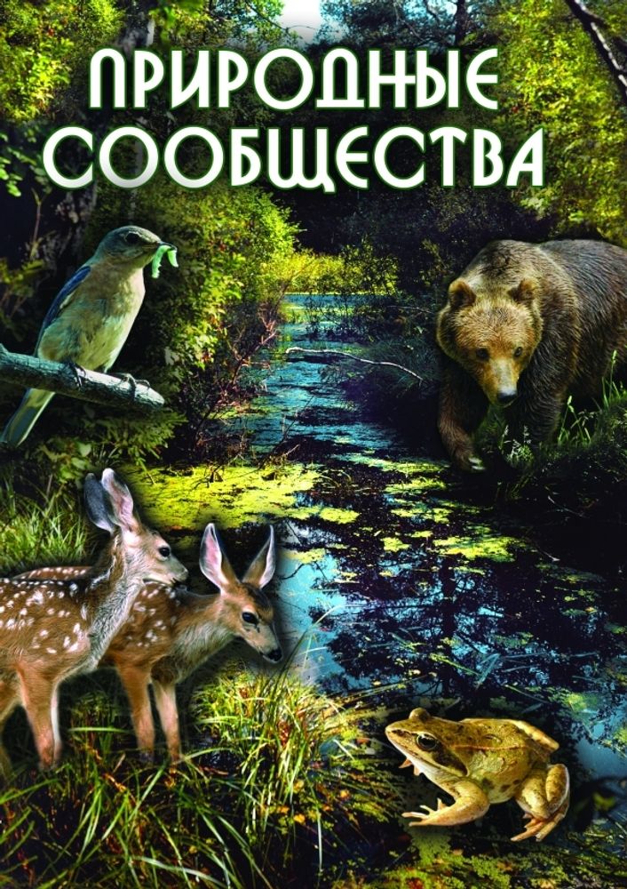 Видеофильм "Природные сообщества" DVD