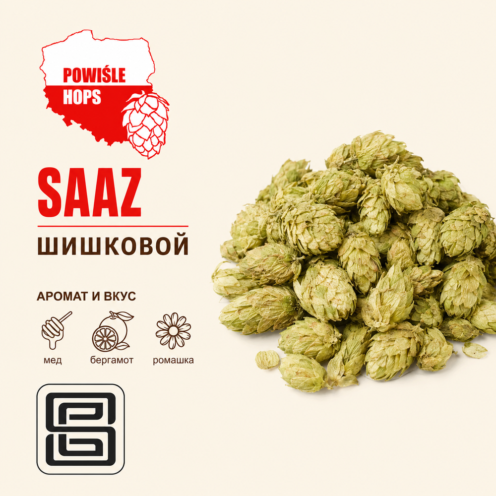 SAAZ (Шишковой)