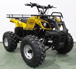 Квадроцикл GreenCamel Атакама T220 (48V 1000W R8 Дифференциал) пониженная электро
