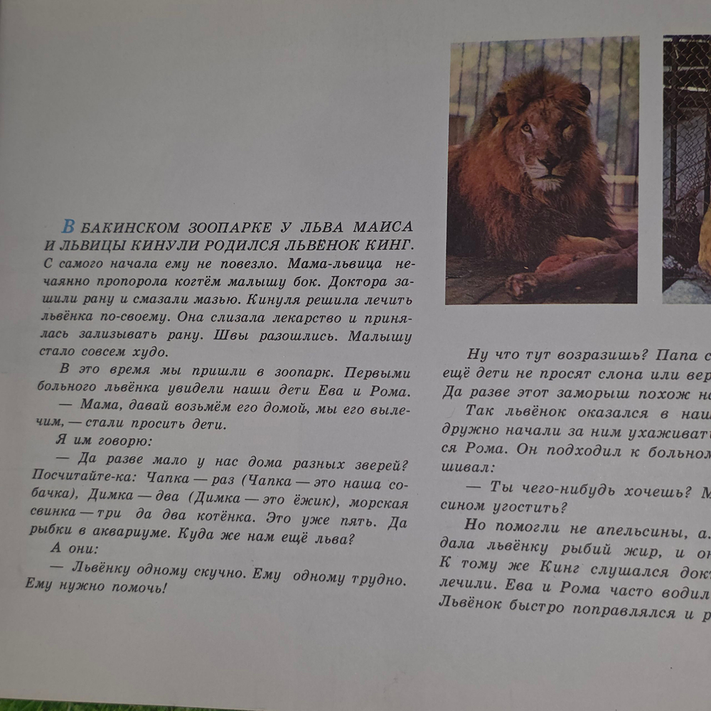 Книга "У нас дома лев"