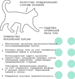 Сухой полнорационный корм для активных стерилизованных кошек AJO Cat Sterile, с высоким содержанием белка, с индейкой и уткой, 400 г