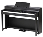 Medeli DP460K