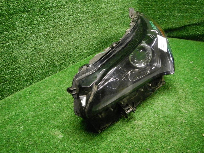 DSCN4617.JPG