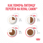 Сухой корм для кошек Royal Canin Hair & Skin Care (Роял Канин Хайбал энд скин кэа) для поддержания здоровья кожи и шерсти 400 г