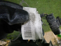 DSCN5234.jpg