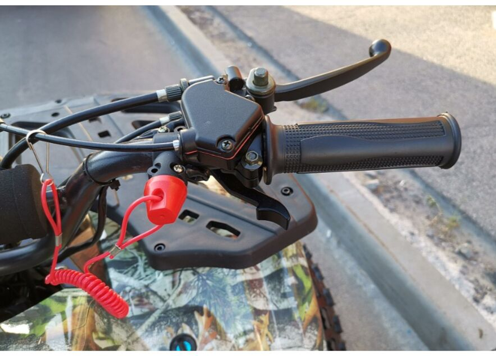 Квадроцикл WELS THUNDER 125 E2
