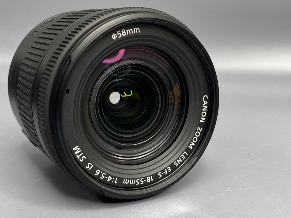 Canon 250D Kit 18-55mm 4-5.6 IS STM 1.000 кадров