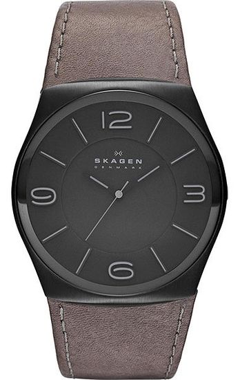 Наручные часы Skagen SKW6041