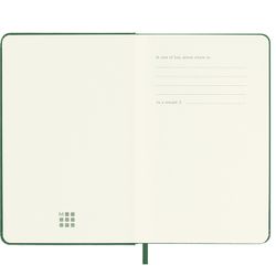 Еженедельник Moleskine WKNT Large зеленый (DSK1512WN2) 2