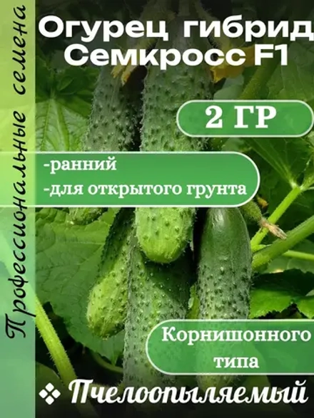 Семена Огурец гибрид Семкросс F1 -2 гр