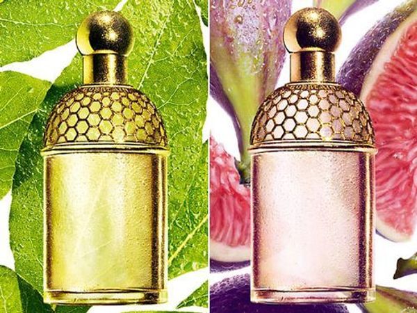 Guerlain Aqua Allegoria Laurier - Reglisse