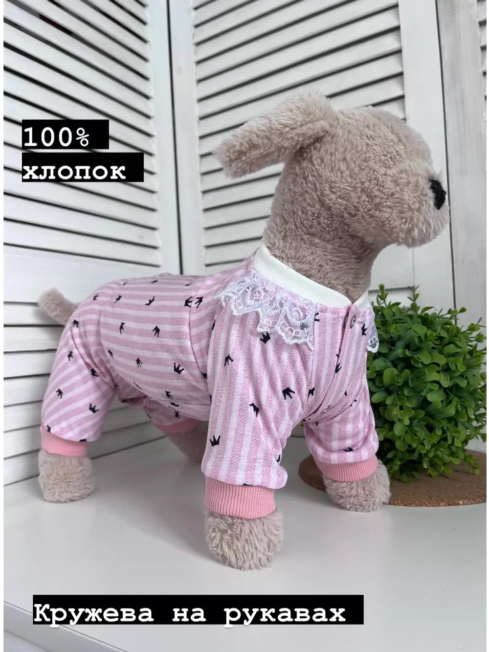 Трикотажный комбинезон для собак и кошек