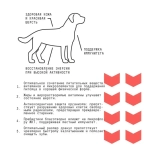 AJO (Айо) Dog Medium Adult Сухой полнорационный корм с гречкой для взрослых собак средних пород, 2 кг