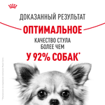 Royal Canin Mini Digestive Care Мини Дайджестив кэа Корм сухой для взрослых собак мелких пород с чувствительным пищеварением 3кг