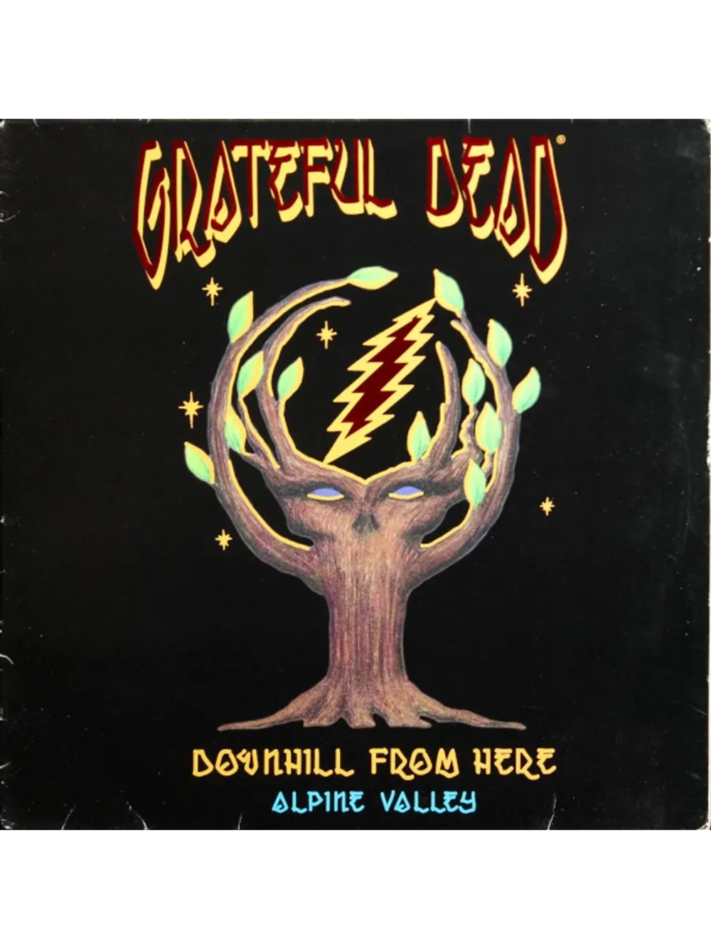 Grateful Dead — Downhill From Here: Alpine Valley