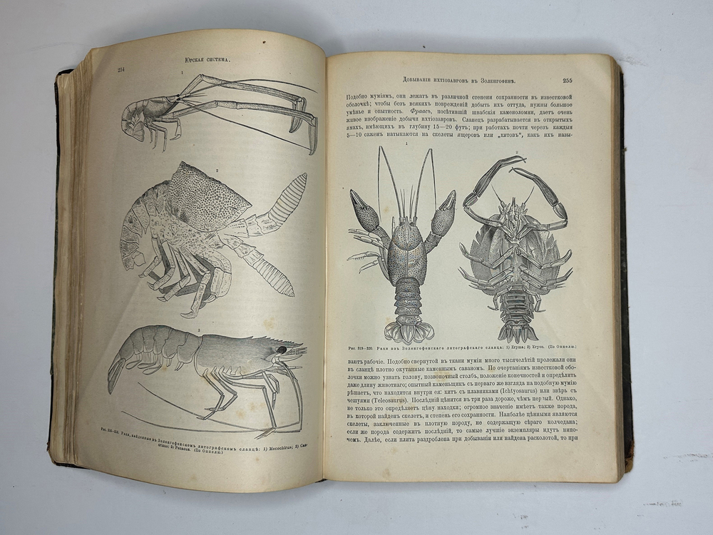 Неймар М. История Земли. СПб., Изд. Просвещение,1903г.,  в 2-х томах.