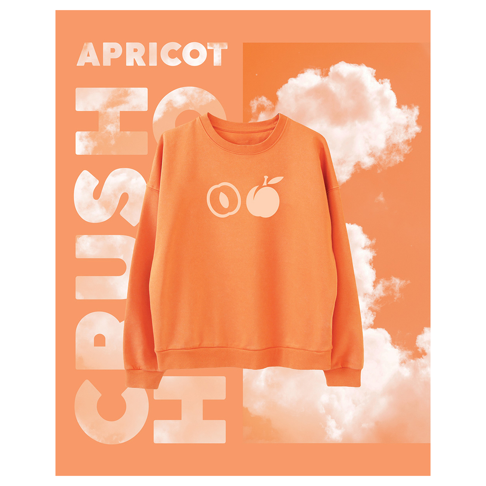 Тетрадь 48л., А5, клетка BG "Apricot", матовая ламинация