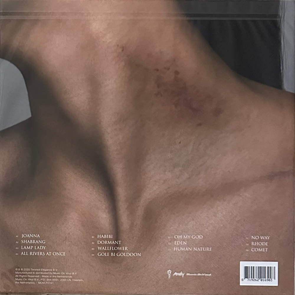 Sevdaliza ‎– Shabrang 2LP (Голландия 2020г.)