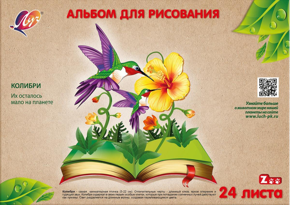 Альбом для рисования А4 24л на склейке «Zoo. Колибри» (Луч)