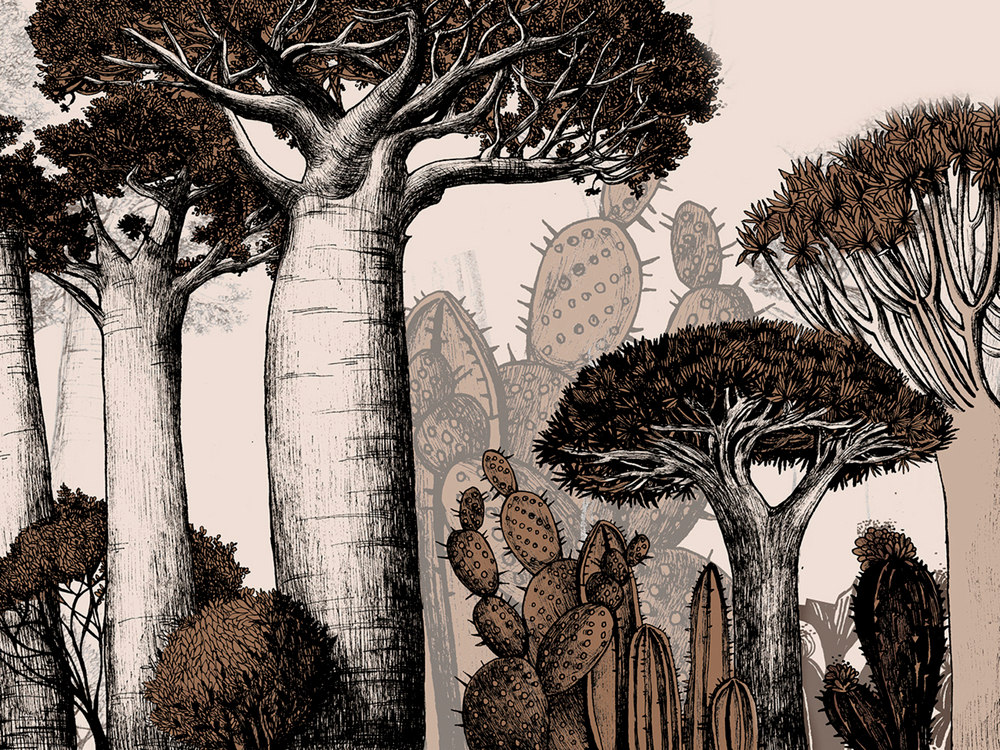 ZOO 20