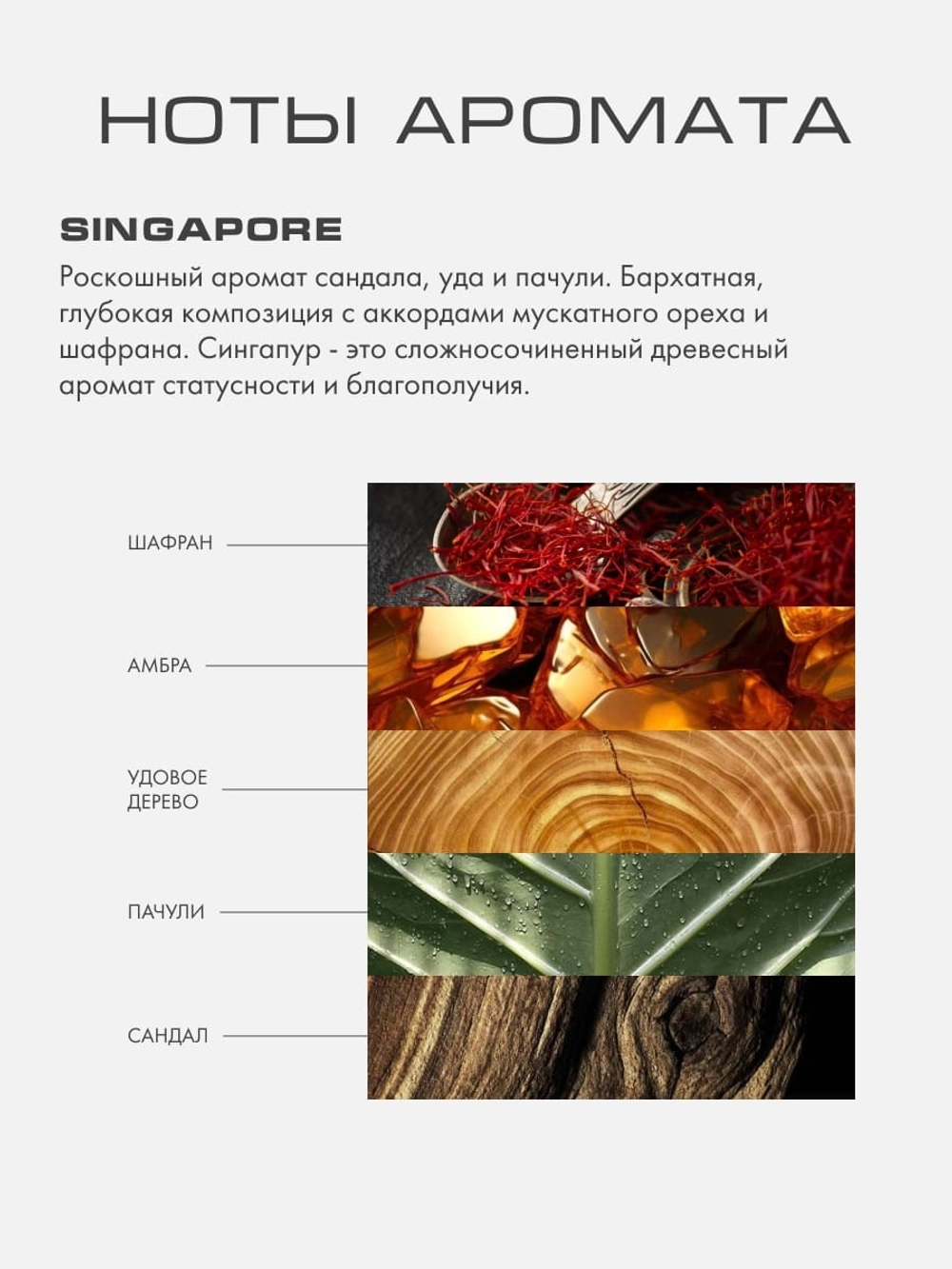Лосьон для тела СИНГАПУР (SINGAPORE)