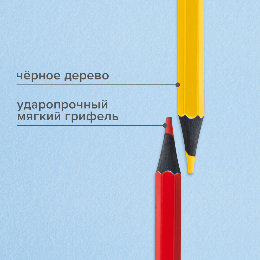 Карандаши цветные BRAUBERG, 24 цвета, черное дерево, грифель мягкий 3,3 мм, 181858