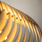 TOM RAFFIELD HIVE