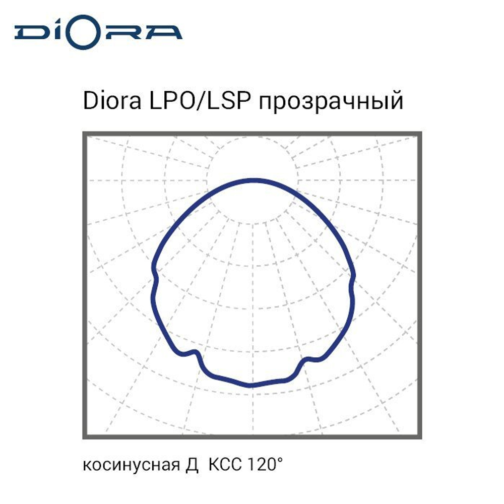 Diora LPO/LSP 19/2900 прозрачный 5K