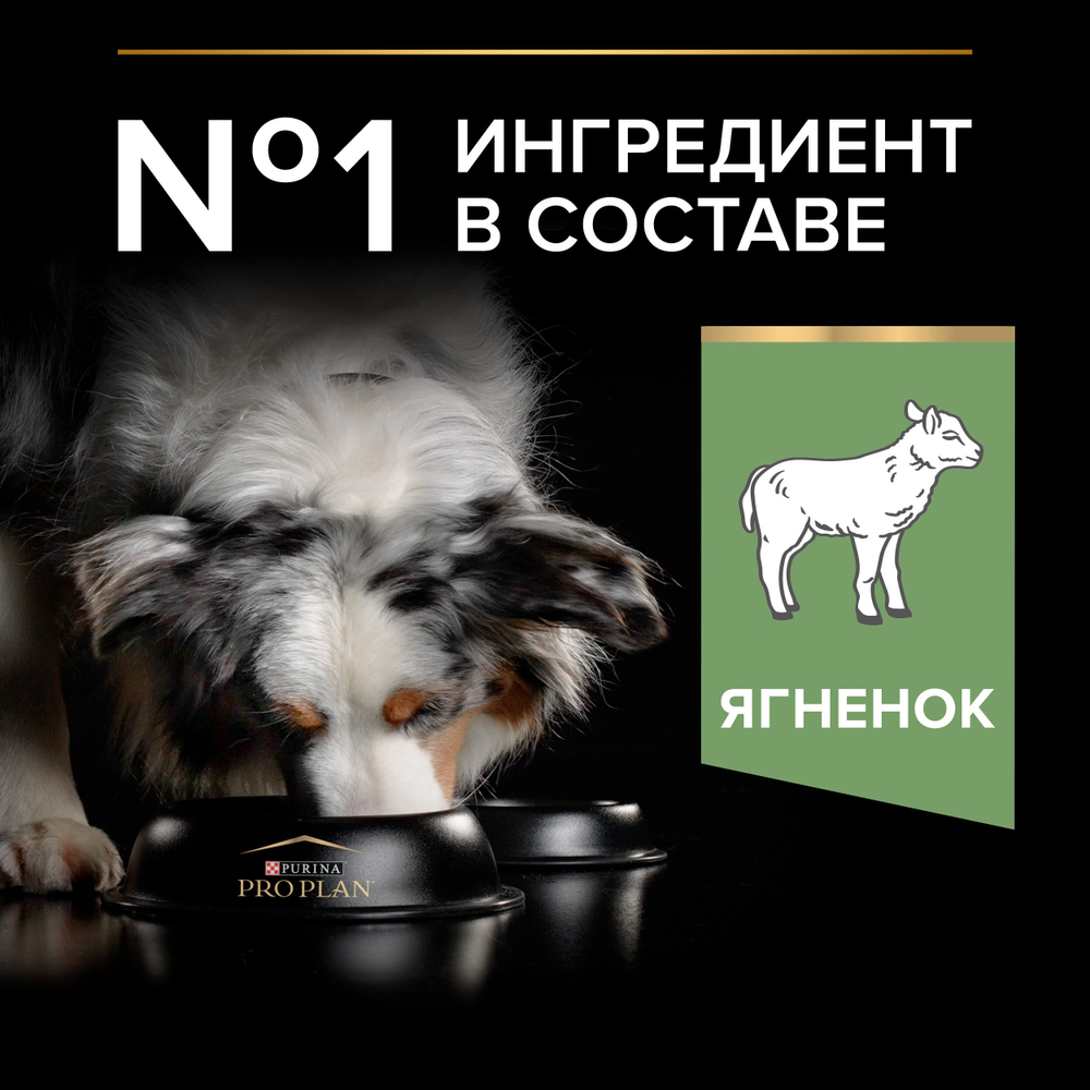 Сухой корм PRO PLAN SENSITIVE DIGESTION для взрослых собак средних пород с чувствительным пищеварением ягненок 7 кг