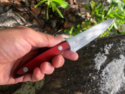 🏆Кухонный нож Alexander S AUS-8 Red G10