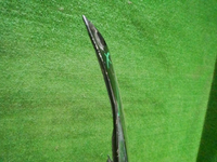 DSCN2237.jpg