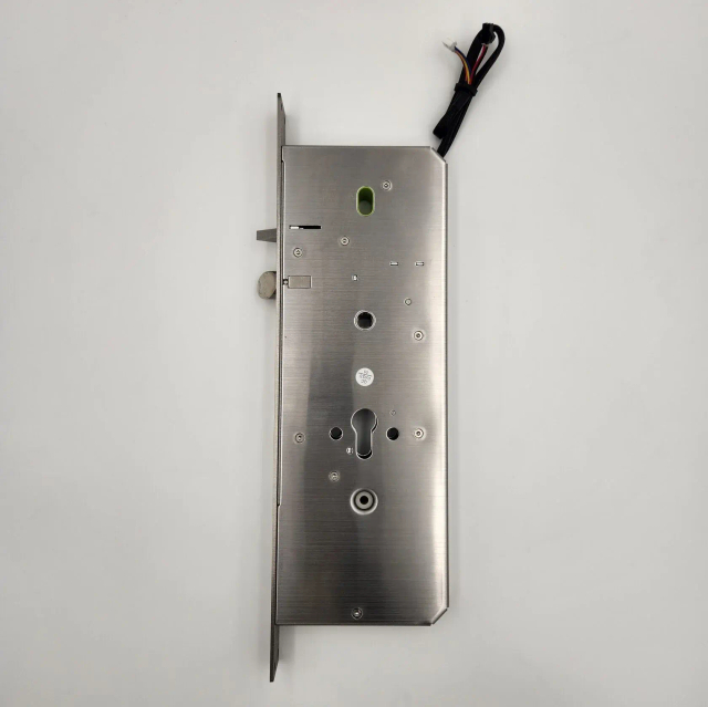 Dircode DM-3 электромоторный замок
