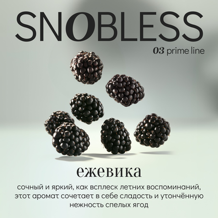 Snobless - Blackberry 100 гр.