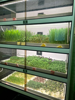 Витрина Greenbar MZ-4 ПАК для выращивания микрозелени