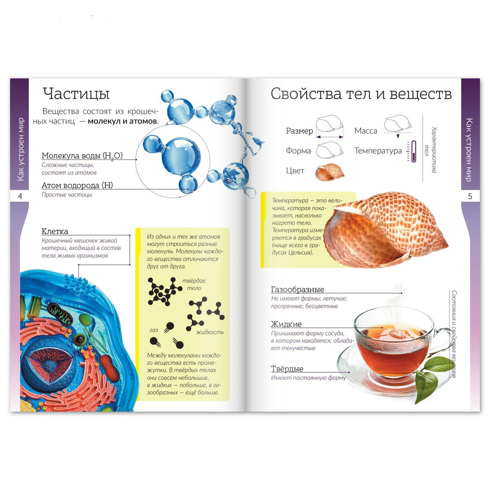 Книжки - шпаргалки «Мир природы и человека», арт. 04422