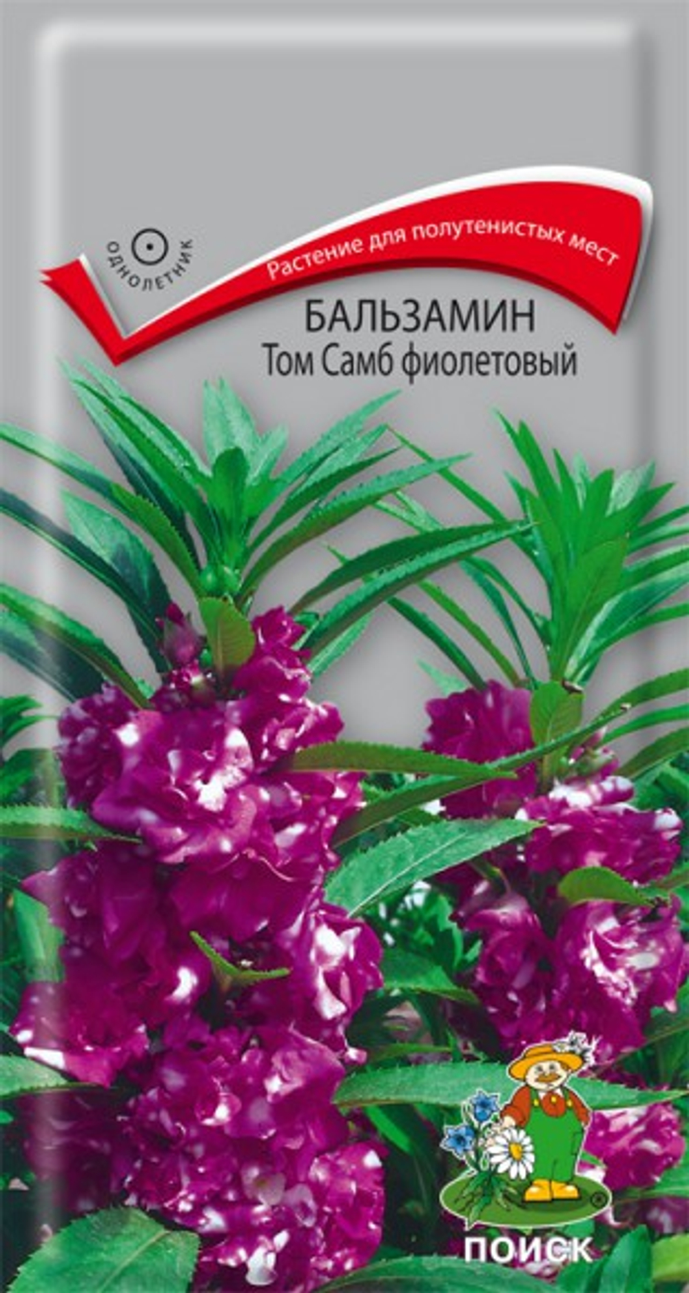 чсч