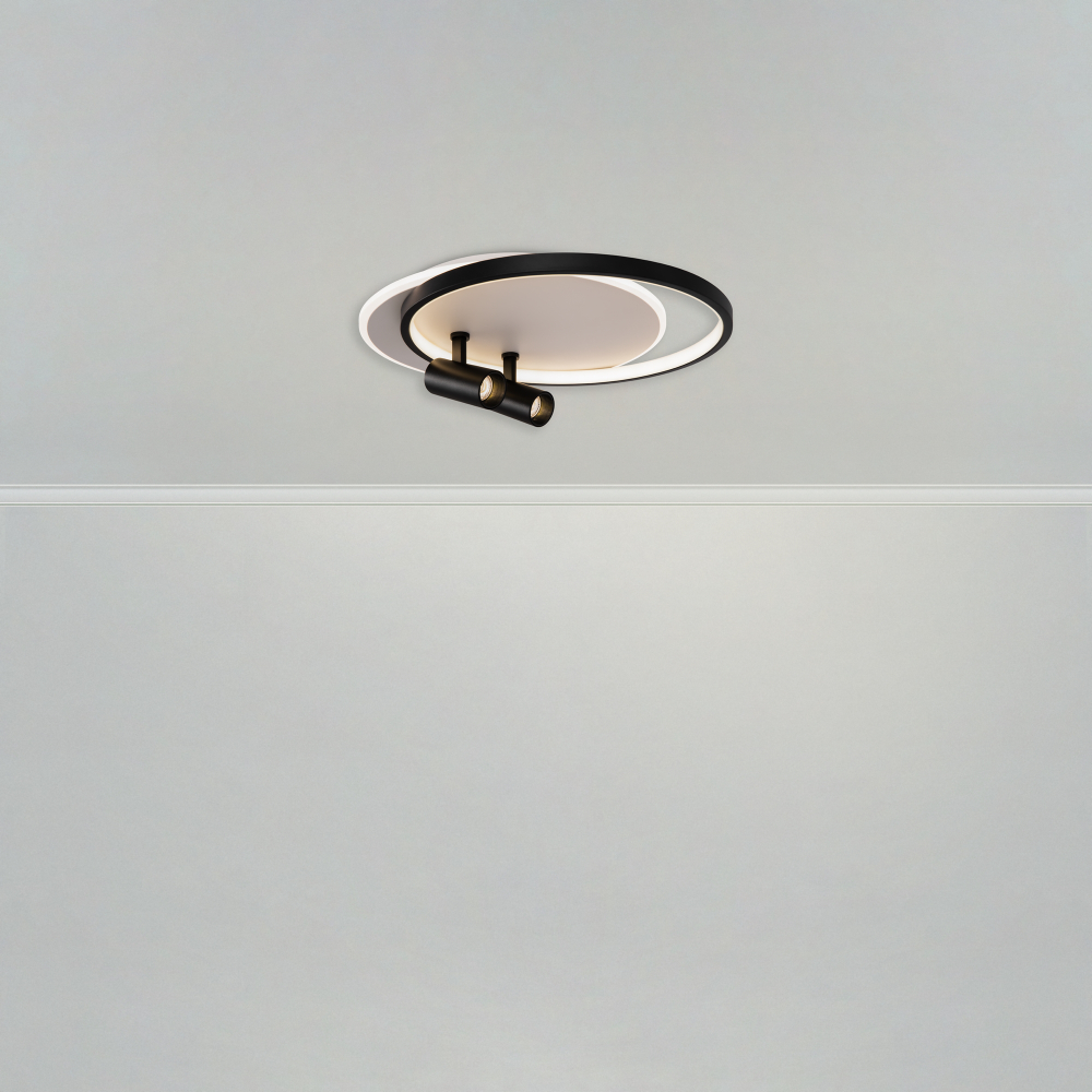 Потолочный светильник Freya FR6083CL-L106WB