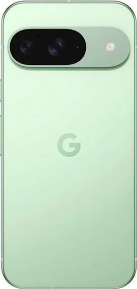 Смартфон Google Pixel 9 256 ГБ Зимний зеленый Wintergreen