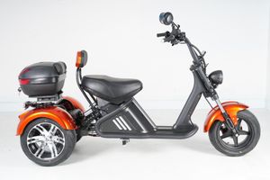 Трехколесный электроскутер Mangosteen M2P (60V 30А/40A 2000W) (ПОД ЗАКАЗ)